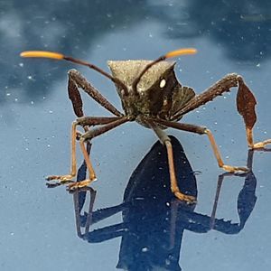 Meet your Posher, Mark